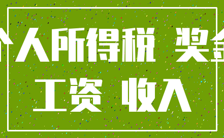 个人所得税 奖金_工资 收入