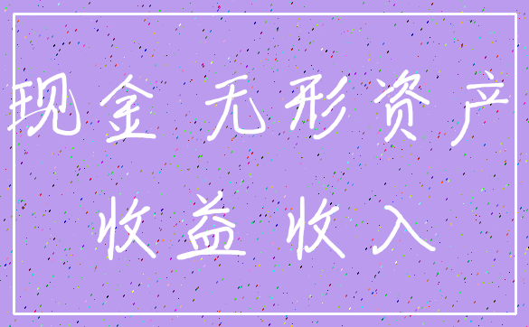 现金 无形资产_收益 收入