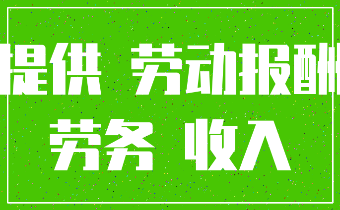 提供 劳动报酬_劳务 收入