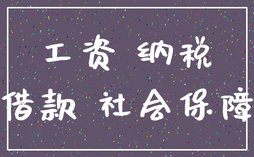 工资 纳税_借款 社会保障