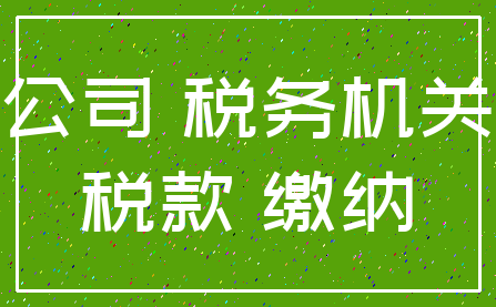公司 税务机关_税款 缴纳