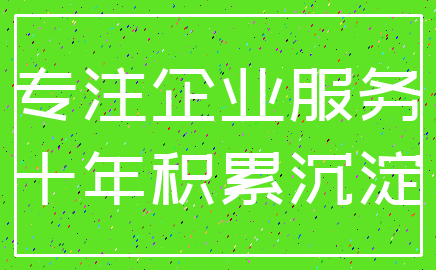 专注企业服务_十年积累沉淀
