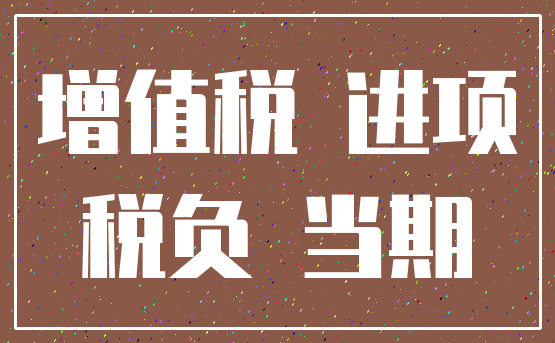 增值税 进项_税负 当期