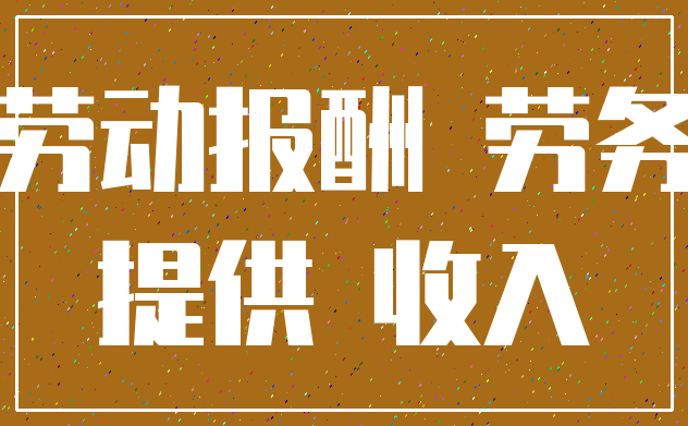 劳动报酬 劳务_提供 收入