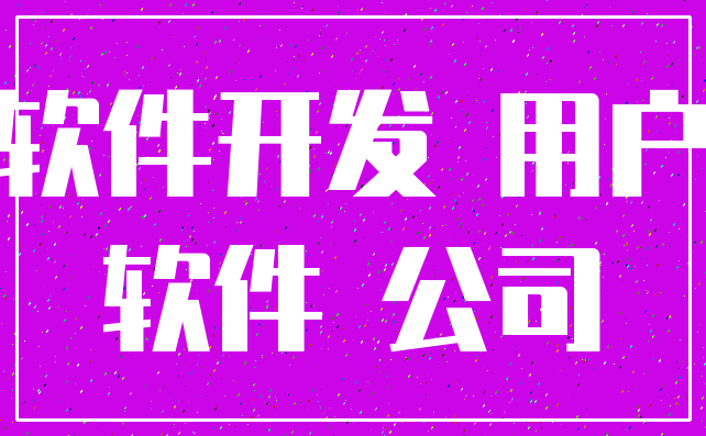 软件开发 用户_软件 公司