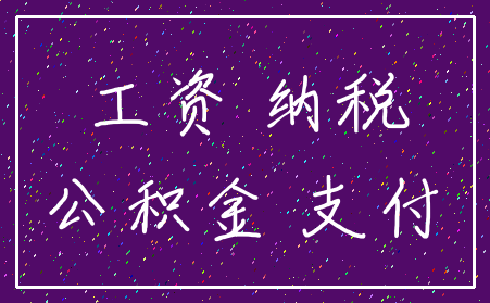 工资 纳税_公积金 支付