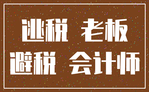 逃税 老板_避税 会计师