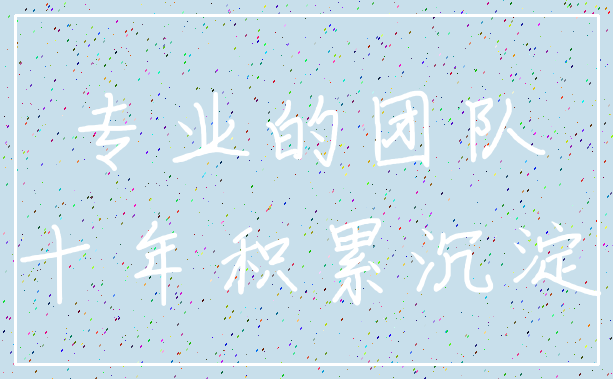 专业的团队_十年积累沉淀