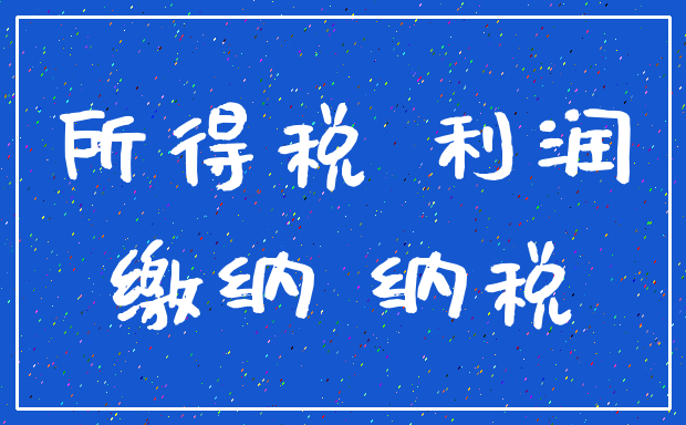 所得税 利润_缴纳 纳税