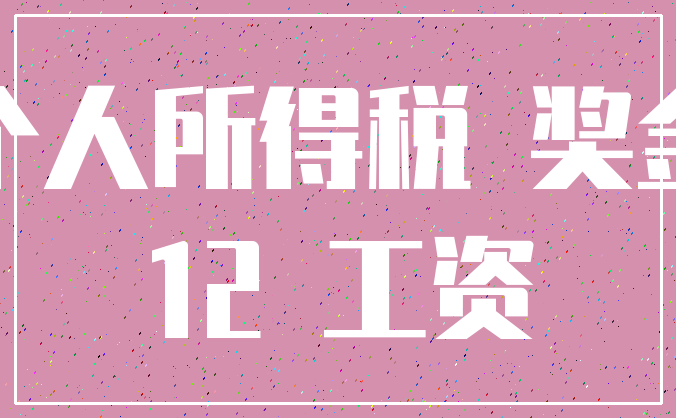 个人所得税 奖金_12 工资