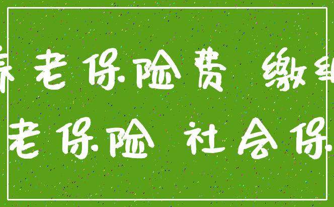 养老保险费 缴纳_养老保险 社会保险