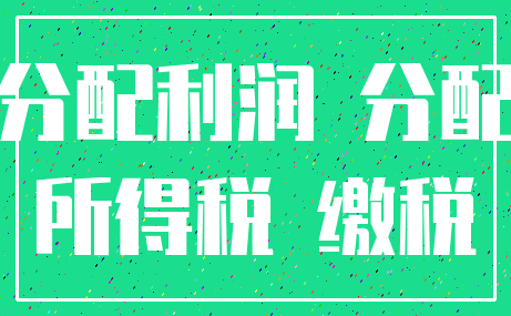 分配利润 分配_所得税 缴税