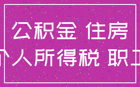公积金 住房_个人所得税 职工