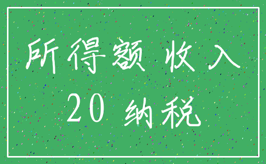 所得额 收入_20 纳税