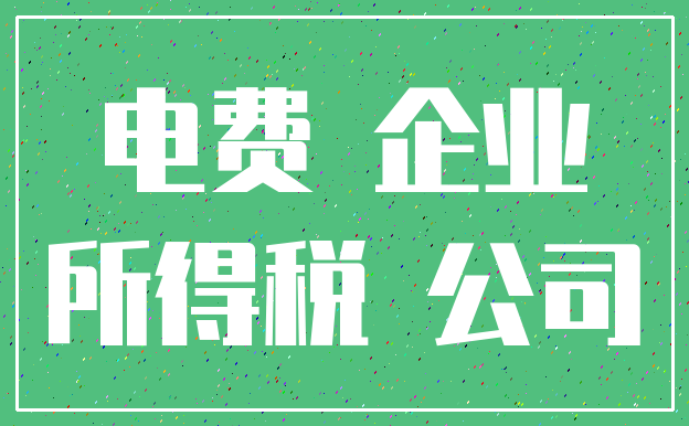电费 企业_所得税 公司