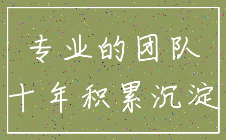 专业的团队_十年积累沉淀