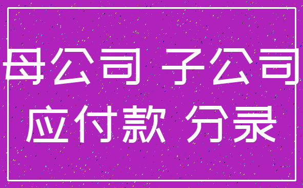 母公司 子公司_应付款 分录