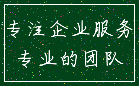 专注企业服务_专业的团队