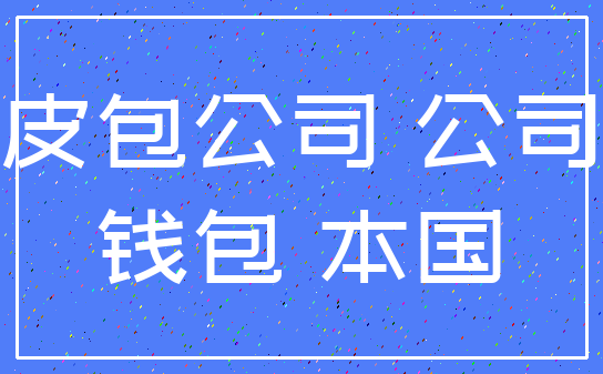 皮包公司 公司_钱包 本国