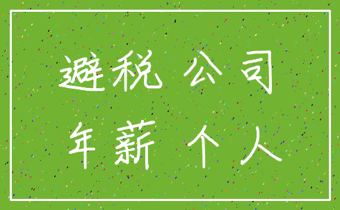 避税 公司_年薪 个人