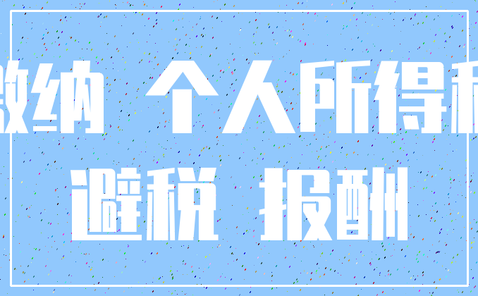 缴纳 个人所得税_避税 报酬