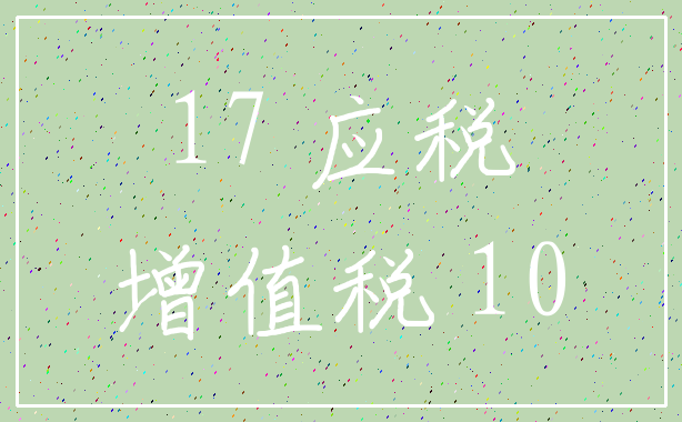 17 应税_增值税 10