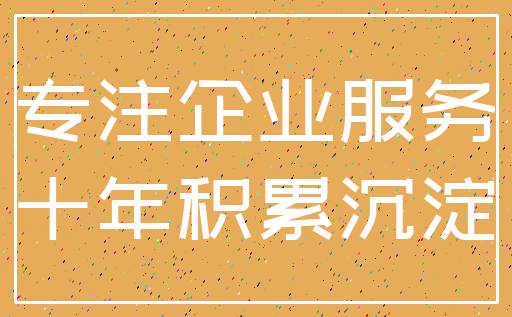专注企业服务_十年积累沉淀