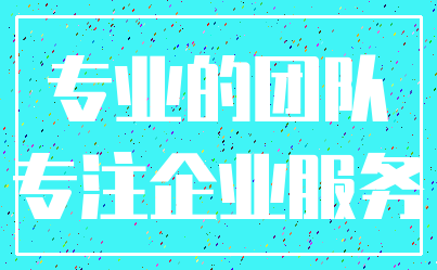 专业的团队_专注企业服务