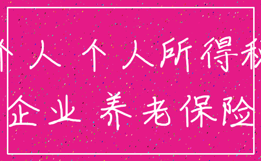 个人 个人所得税_企业 养老保险
