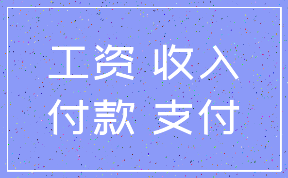 工资 收入_付款 支付