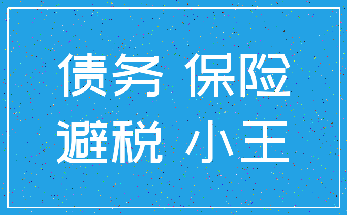 债务 保险_避税 小王