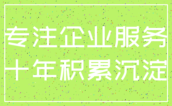 专注企业服务_十年积累沉淀