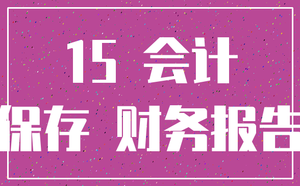 15 会计_保存 财务报告