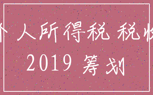 个人所得税 税收_2019 筹划