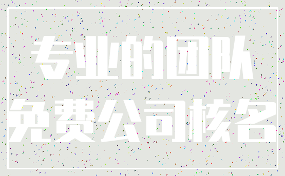 专业的团队_免费公司核名
