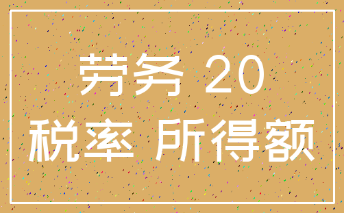 劳务 20_税率 所得额