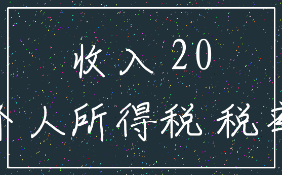 收入 20_个人所得税 税率