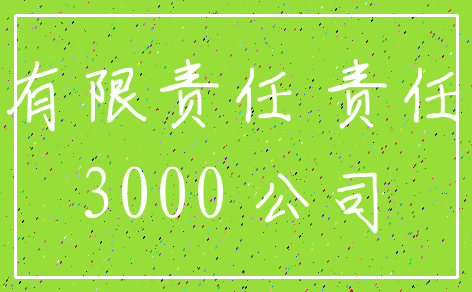 有限责任 责任_3000 公司