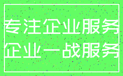 专注企业服务_企业一战服务