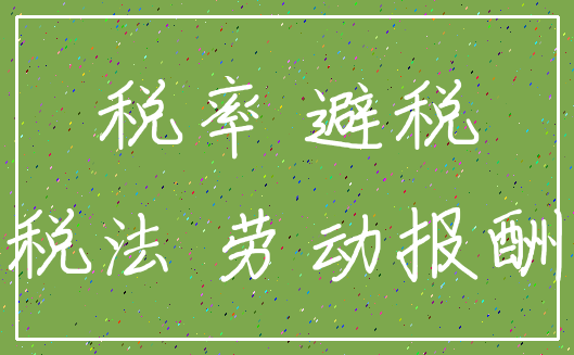 税率 避税_税法 劳动报酬