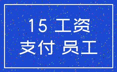 15 工资_支付 员工