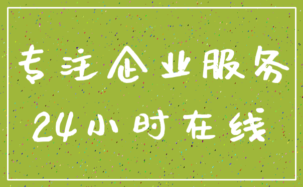 专注企业服务_24小时在线