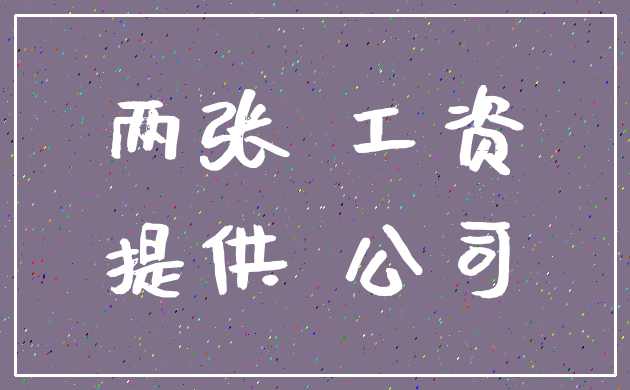 两张 工资_提供 公司