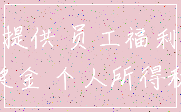 提供 员工福利_奖金 个人所得税