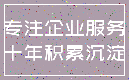 专注企业服务_十年积累沉淀