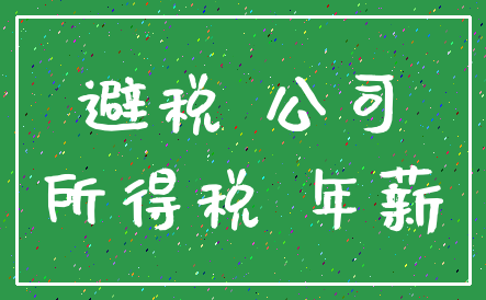 避税 公司_所得税 年薪