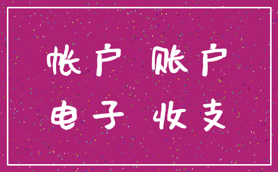 帐户 账户_电子 收支