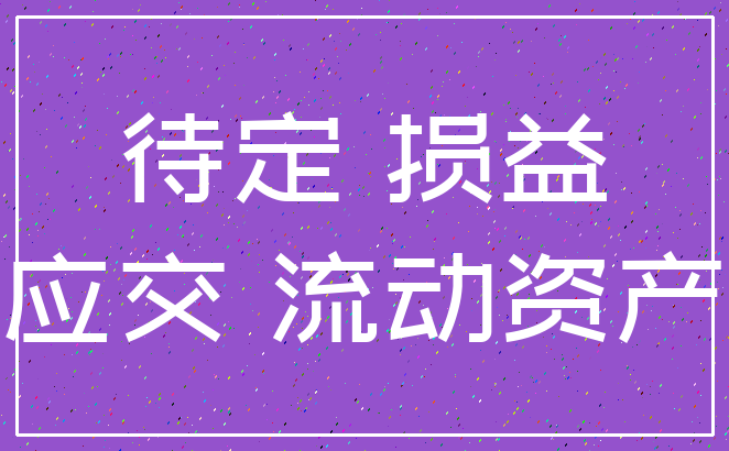待定 损益_应交 流动资产
