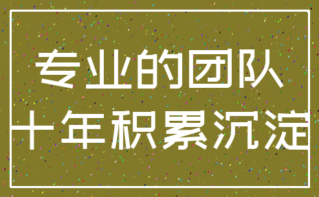 专业的团队_十年积累沉淀