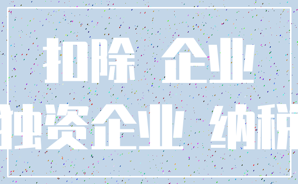 扣除 企业_独资企业 纳税